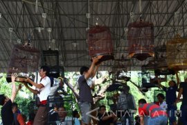 Lomba Burung Berkicau