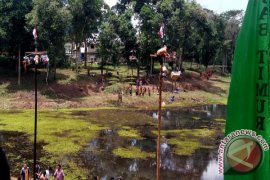 Ini dia kemeriahan HUT kemerdekaan RI di Muarasabak