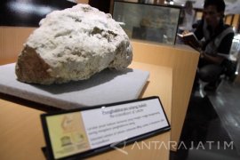 Wisata Edukasi "Etalase Geopark Pacitan" Diminati Pelajar