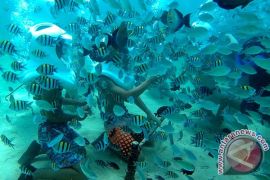 China ciptakan robot bawah laut untuk bantu nelayan