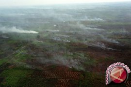 Ayah dan Anak Diamankan Karena Bakar Lahan