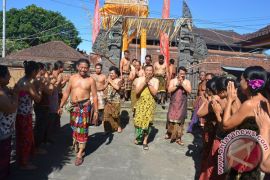 Gubernur Bali Hadiri Ritual "Ngusaba Dangsil" 