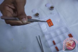 Kasus DBD Kota Denpasar Menurun