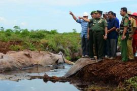 Danrem Wirabima Himbau Kepala Daerah Untuk Serius Tanggulangi Karlahut 