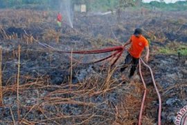 Asap Dampak Karlahut Di Dumai Mulai Membahayakan Masyarakat
