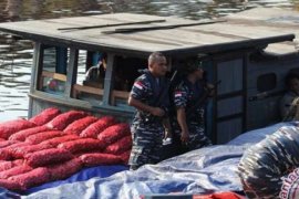 12 Ton Bawang Selundupan Berhasil Diamankan Lanal Dumai   