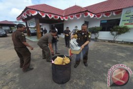 Kejari Ketapang Musnahkan Barang Bukti Kejahatan Narkoba