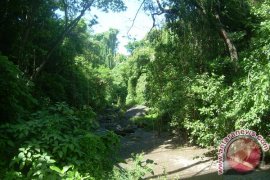 Mengembalikan Kejayaan "Hidden Paradise" Sungai Ayung