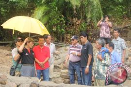 Bupati Tapsel Imbau Masyarakat Lestarikan Hutan