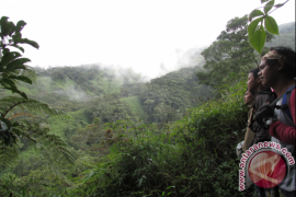 Petugas TNKS evakuasi tiga pendaki Gunung Kerinci