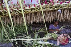 Bahan "Penjor" Ramai Diburu Masyarakat Bali