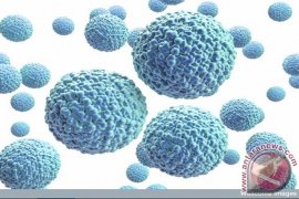 Kasus Infeksi Zika Vietnam Meningkat Dua Kali Lipat