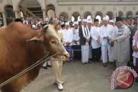 Awang Faroek Ajak Masyarakat Budayakan Semangat Berkurban