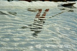 Harga Garam Konsumsi di Pamekasan Kini Rp4.000/Kg