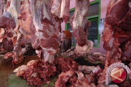 Harga daging sapi di pasar induk Tanjungpandan turun