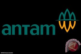 Antam sambut baik perubahan PP minerba