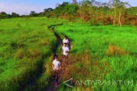 Semen Indonesia "Trail Run" Siapkan Ratusan Juta