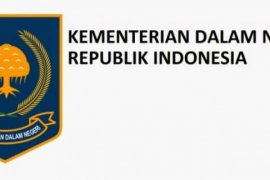 Staf Ahli Kemendagri: 20-30 Persen SOTK Akan Dipangkas