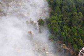 WALHI Ajukan Praperadilan Belasan Perusahaan Terkait SP3 Karhutla