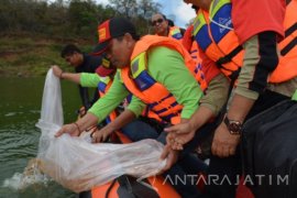 Pemkab Situbondo Tabur Benih Ikan di Waduk Bajulmati