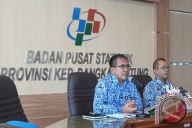 BPS: produksi industri mikro kecil Babel turun