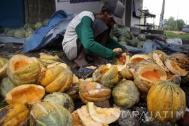 Dampak Anomali Cuaca