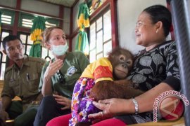 Evakuasi Bianka Peliharaan Warga