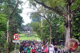 Angin Kencang: Kebun Raya Bogor Ditutup Sementara, demi Keselamatan Pengunjung 