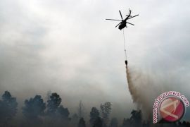 Pemadaman api di lereng Gunung Arjuno gunakan "water bombing"
