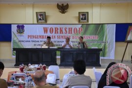 Plh.Wali Kota  Buka WorkShop SDM