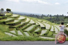 WCF usung Subak jadi solusi hindari konflik