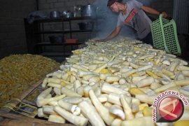 Bupati Lampung Tengah Surati Presiden Jokowi Soal Singkong