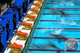 39 rekor nasional renang terpecahkan dalam pada Peparnas XVI Papua