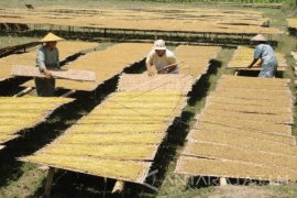 APTI : Sikap Pemerintah Terhadap Sidang FCTC Tepat