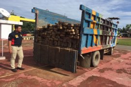 Polair Kalbar Sita Ratusan Batang Kayu Gelondongan