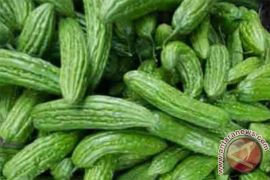 Pare Tidak Harus Pahit, Begini Cara Mengolahnya agar Lezat