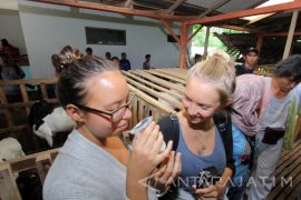 Kembangkan Susu Kambing Etawa