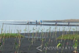 Pantai Paseban-Jember Akan Dikelola Jadi Ekowisata Bahari