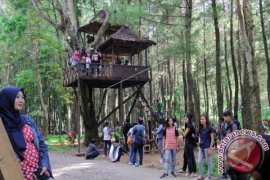 WISATA HUTAN PINUS Page 1 Small