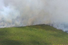 Sumber Air Tak Dekat, Satgas Kewalahan Padamkan Kebakaran Gambut Meranti