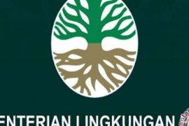 KLHK Temukan Keanehan Pada Hutan Cagar Biosfer Giam Siak Kecil