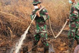 Korem 031/Wirabima Targetkan Tekan Karlahut Riau Hingga 80 Persen