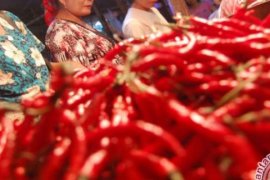 BPS: Riau Inflasi 0,63 Persen Akibat Kenaikan Harga Cabai Merah