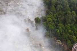 Ini Tanggapan Kuasa Hukum Polda Riau Terkait Praperadilan SP3 Karhutla