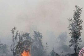 Polres Kampar Serahkan Dua Pelaku Karhutla Ke Kejari
