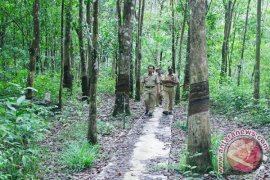 JUT road program can bolster regional agriculture sector: Official