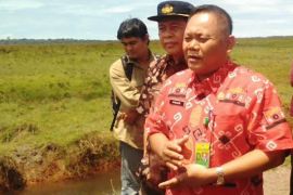 PKG Way Kambas sudah teraliri listrik PLN  