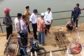 Ini kata Bupati Tanjabtim soal jalan produksi