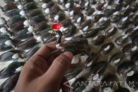 Kerajinan Kerang Surabaya