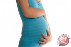 DPPKBP3A Kota Gorontalo Programkan "GSI" Tekan Kematian Ibu-bayi